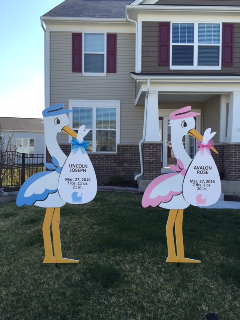 twins lincoln and avalon