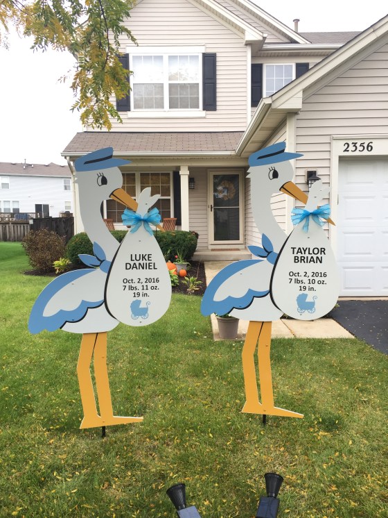 lukedaniel-and-taylorbrian