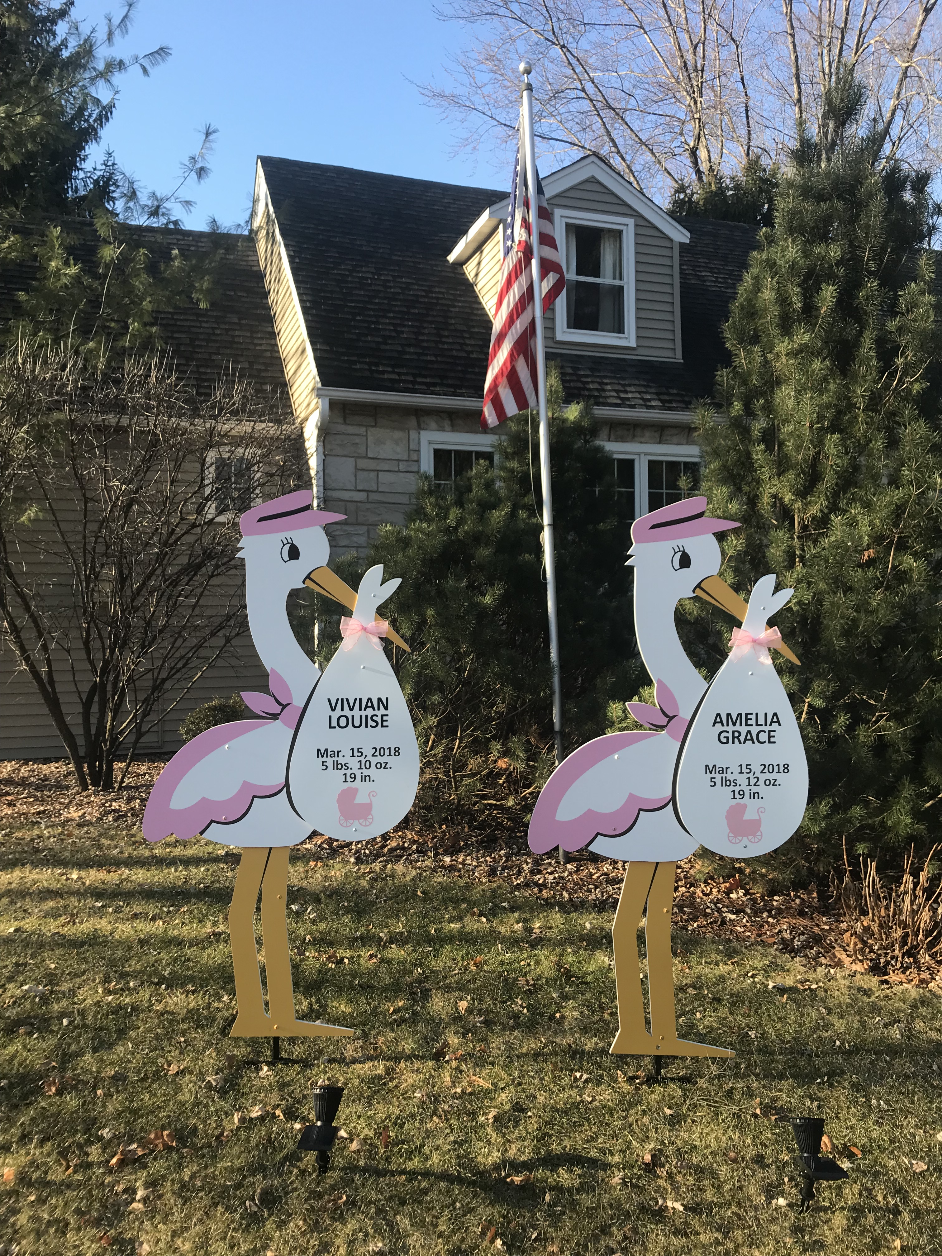 VivianAmelia twins.jpg